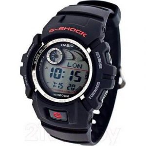 Часы наручные мужские Casio G-2900F-1VER