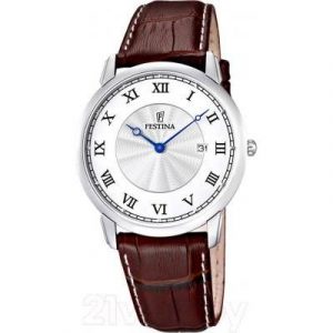 Часы наручные мужские Festina F6813/5