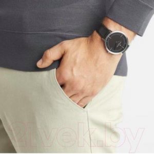 Часы наручные мужские Pierre Cardin CBV.1029