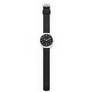 Часы наручные мужские Skagen SKW6459