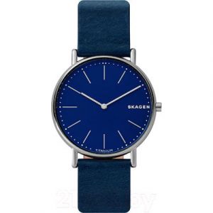 Часы наручные мужские Skagen SKW6481
