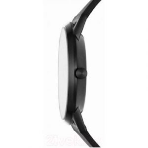 Часы наручные мужские Skagen SKW6499