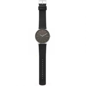Часы наручные мужские Skagen SKW6528