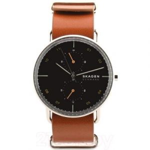 Часы наручные мужские Skagen SKW6537