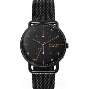 Часы наручные мужские Skagen SKW6538