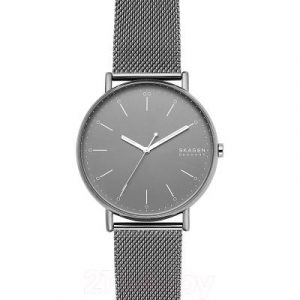 Часы наручные мужские Skagen SKW6549