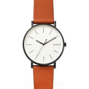 Часы наручные мужские Skagen SKW6550
