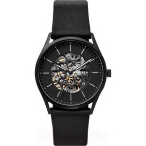 Часы наручные мужские Skagen SKW6580