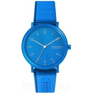 Часы наручные мужские Skagen SKW6602