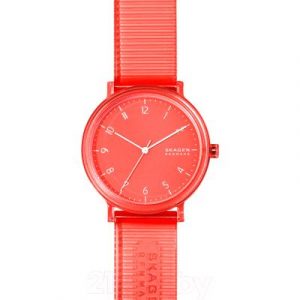 Часы наручные мужские Skagen SKW6603