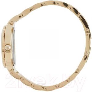 Часы наручные женские Anne Klein AK/2434CHGB