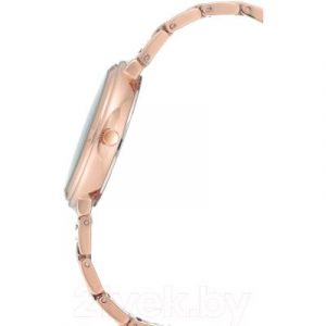Часы наручные женские Anne Klein AK/3168RGRG