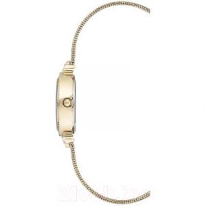 Часы наручные женские Anne Klein AK/3202GBST