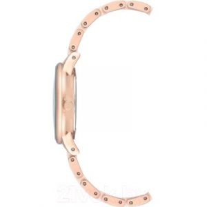 Часы наручные женские Anne Klein AK/3344LPRG