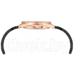 Часы наручные женские Anne Klein AK/3658RGBK