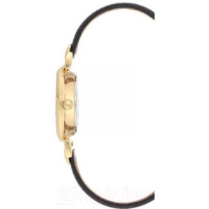 Часы наручные женские Anne Klein AK/3660MPBK
