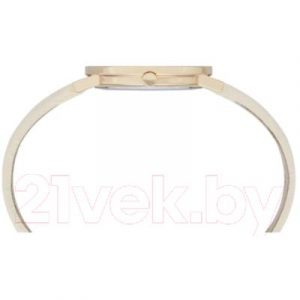 Часы наручные женские Pierre Cardin CBV.1500