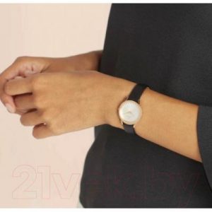 Часы наручные женские Pierre Cardin CPI.2501