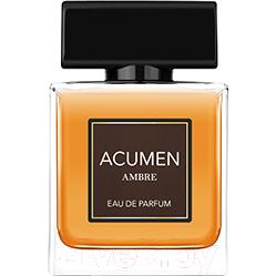 Парфюмерная вода Dilis Parfum Acumen Ambre for Men