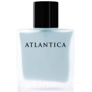 Парфюмерная вода Dilis Parfum Atlantica Silver Moon