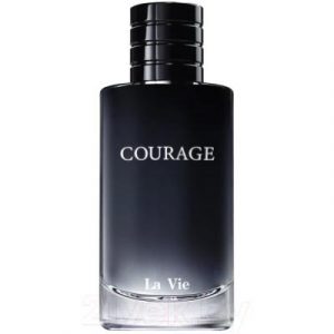 Парфюмерная вода Dilis Parfum Courage