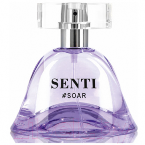 Парфюмерная вода Dilis Parfum Senti Soar