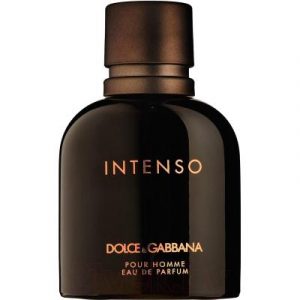 Парфюмерная вода Dolce&Gabbana Intenso Pour Homme
