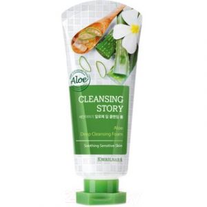 Пенка для умывания Welcos Cleansing Story Aloe