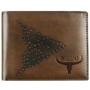 Портмоне Cedar Buffalo Wild N7-02-GG W-40