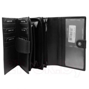 Портмоне Cedar Cavaldi 55003-SPN