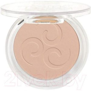 Пудра компактная LuxVisage Silk Dream Nude Skin тон 4