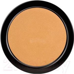 Пудра компактная Paese Illuminating Covering Powder 2С