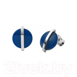 Серьги Skagen SKJ1294040