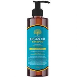 Шампунь для волос Evas Char Char Argan Oil Shampoo