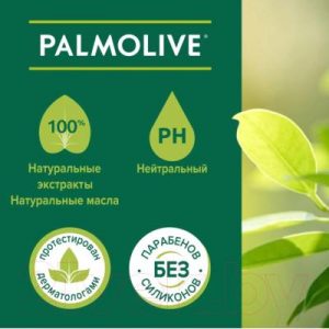 Шампунь для волос Palmolive Men против перхоти и выпадения волос Мята