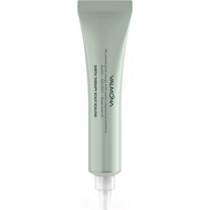 Сыворотка для волос Evas Valmona Earth Therapy Scalp Scaler