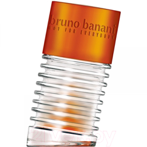 Туалетная вода Bruno Banani Absolute Man