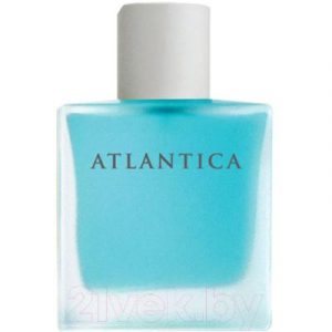 Туалетная вода Dilis Parfum Atlantica Alpha&Omega