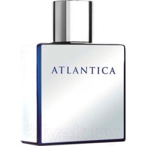 Туалетная вода Dilis Parfum Atlantica Mercury