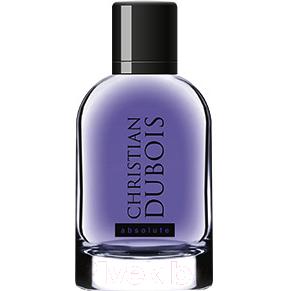 Туалетная вода Dilis Parfum Christian Dubois Absolute for Men