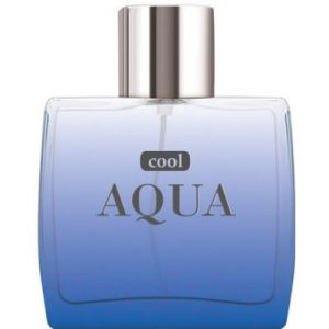 Туалетная вода Dilis Parfum Cool Aqua