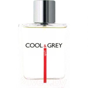 Туалетная вода Dilis Parfum Cool&Grey Sport