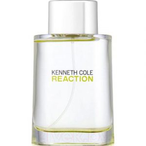 Туалетная вода Kenneth Cole Reaction