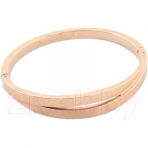 Браслет Skagen SKJ0715791