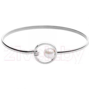 Браслет Skagen SKJ0975040