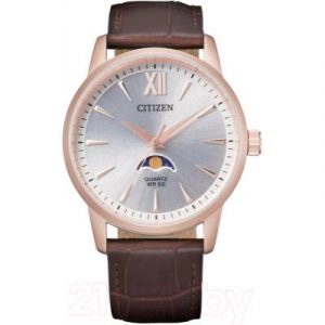 Часы наручные мужские Citizen AK5003-05A