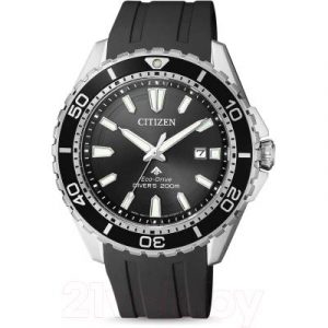 Часы наручные мужские Citizen BN0190-15E