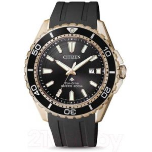 Часы наручные мужские Citizen BN0193-17E
