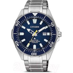 Часы наручные мужские Citizen BN0201-88L