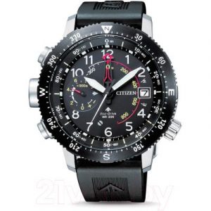 Часы наручные мужские Citizen BN4044-15E